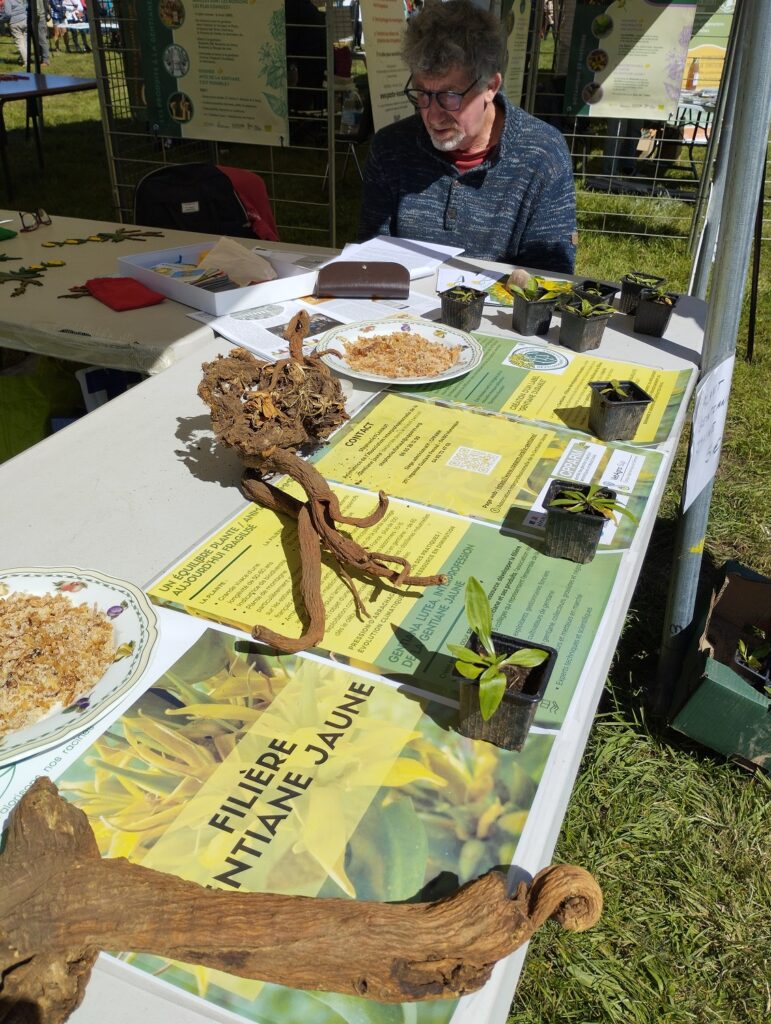 Fête des Patrimoines Volcaniques (4)