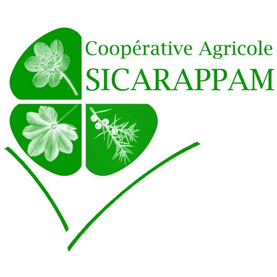 SICARAPPAM partenaire filière développement durable Exploitants en gentiane / Collecteurs et Négociants